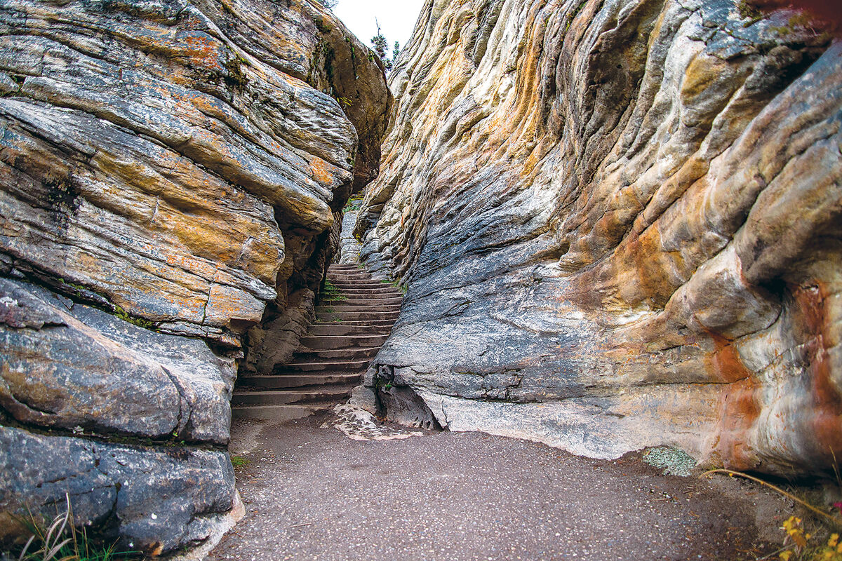 Exhibit-at-chessman-gallery-Dennis-White-Athabasca-Falls